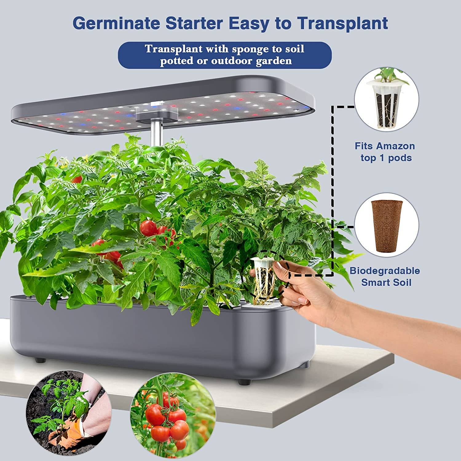 Hydroponics Growing System, 12 Pod Herb Garden: image 5