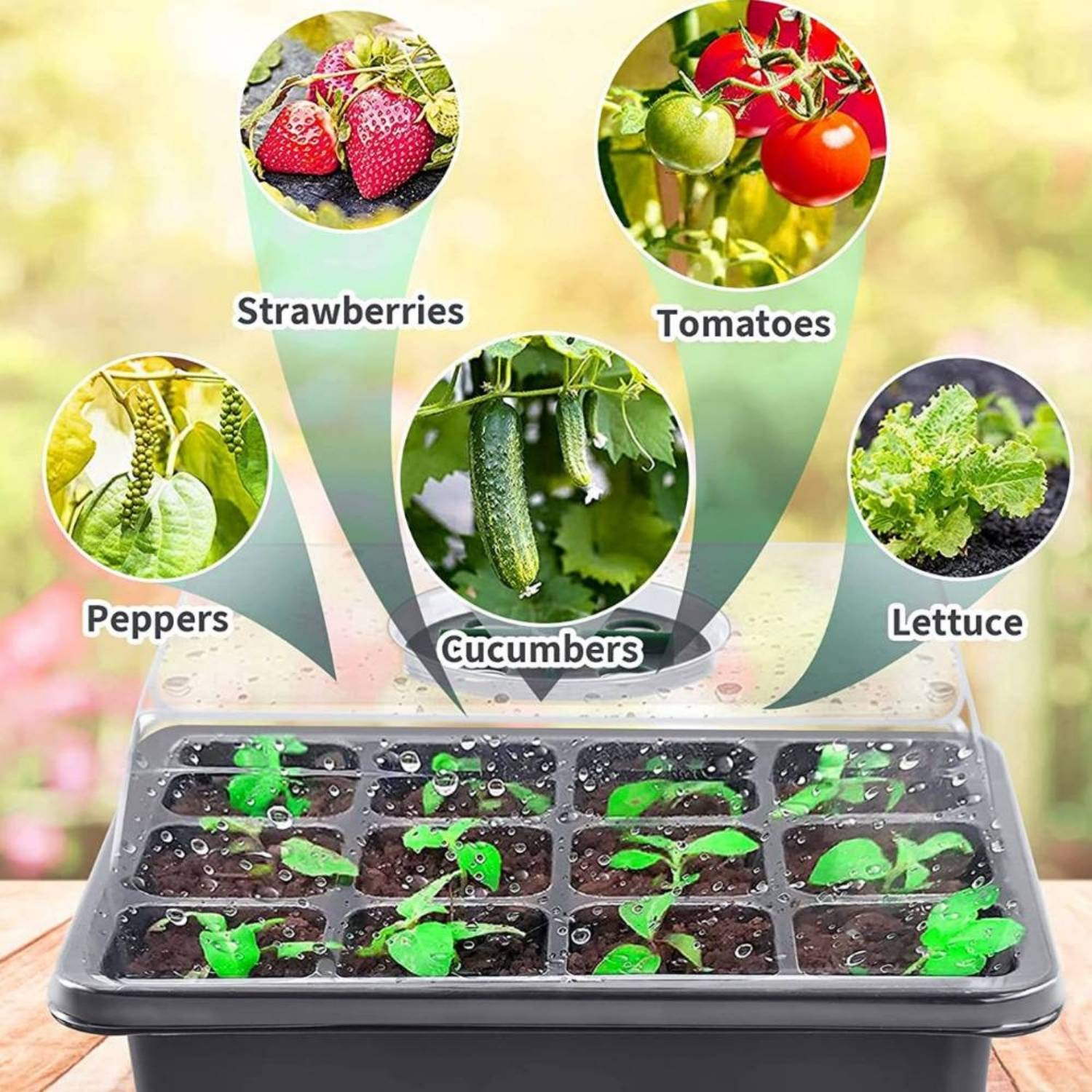 Seed Starter Trays with Humidity Domes, Pack of 5: image 6