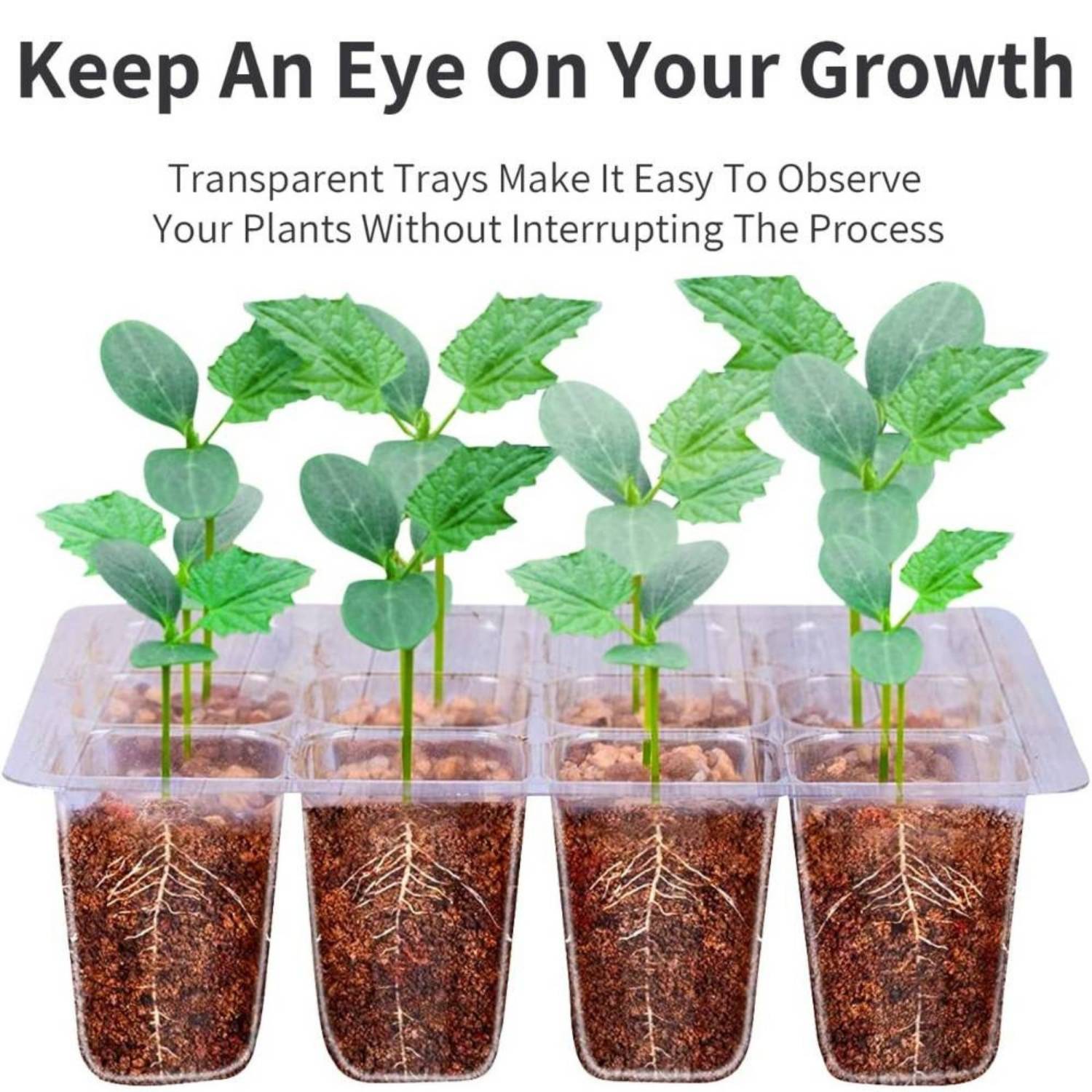 Seed Starter Trays with Humidity Domes, Pack of 5: image 7