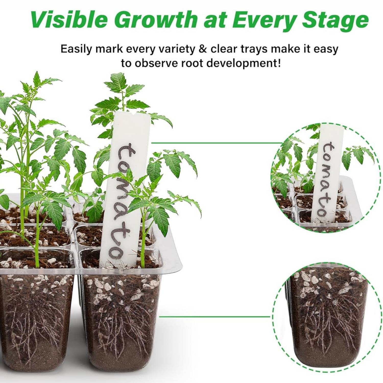 Seed Starter Trays with Humidity Domes, Pack of 5: image 9