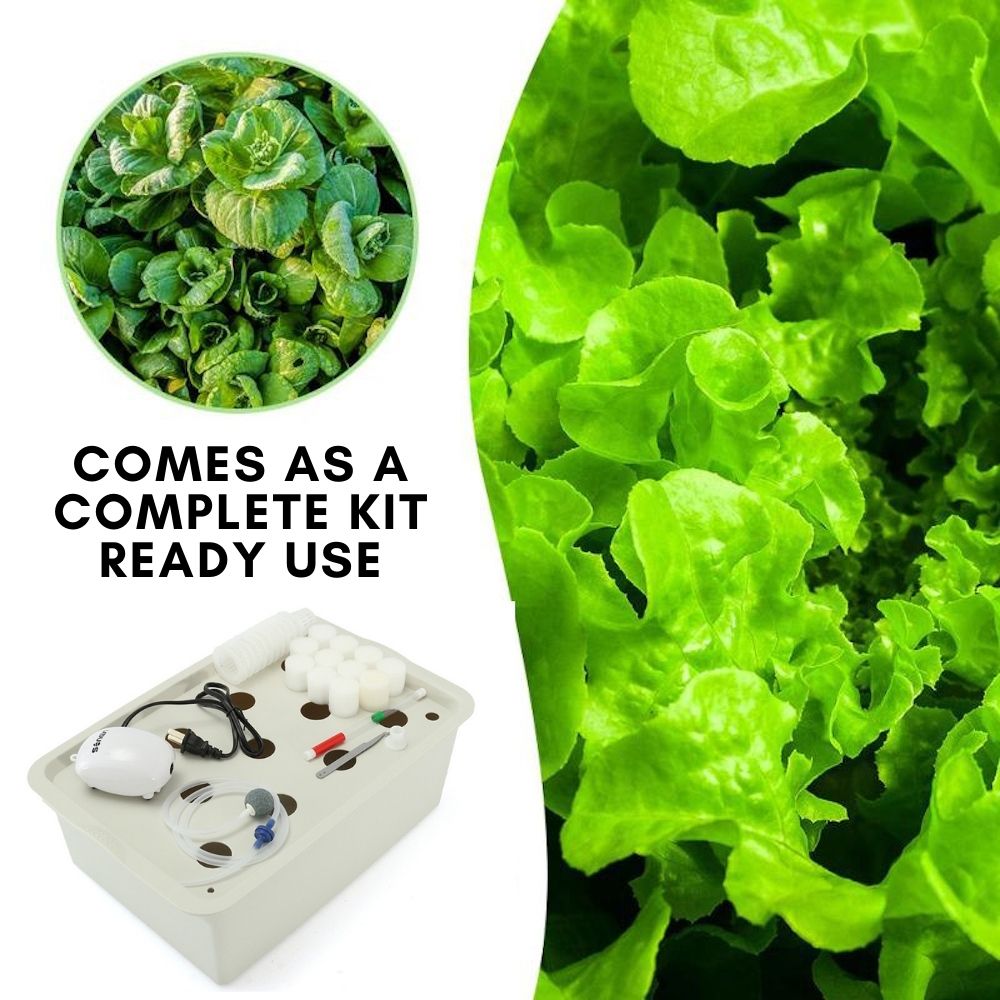Hydroponic Planter, 11 Cup Home System: image 3