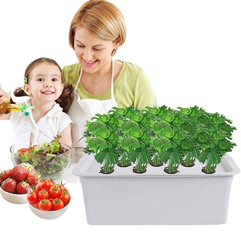 Hydroponic Planter, 11 Cup Home System: image 6