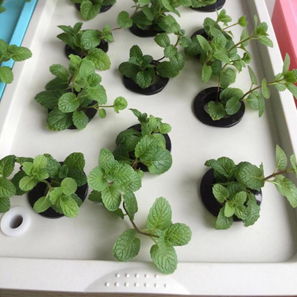 Hydroponic Planter, 11 Cup Home System: image 7