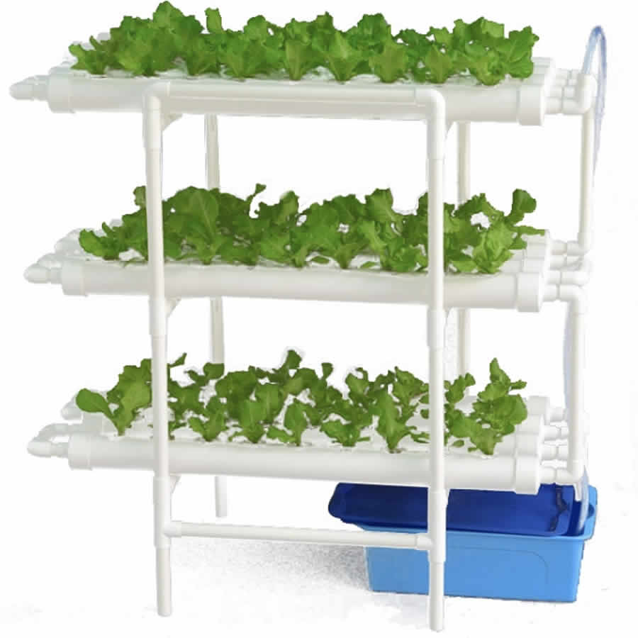 108 Cup NFT Hydroponic System