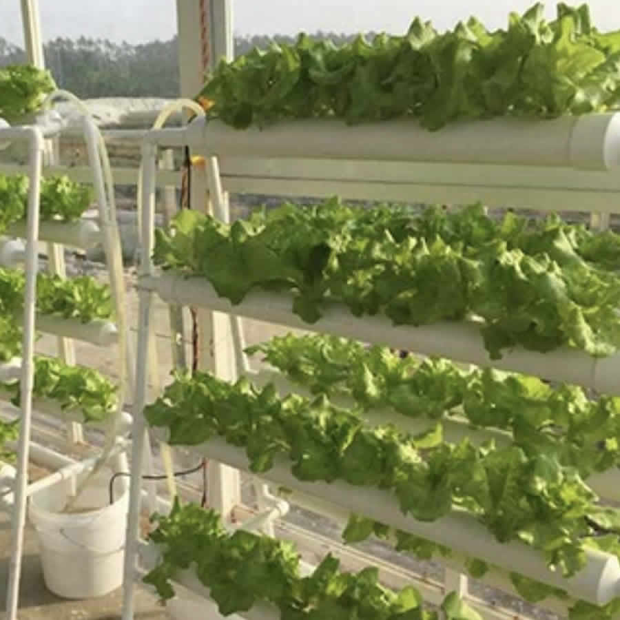 108 Cup NFT Hydroponic System: image 3