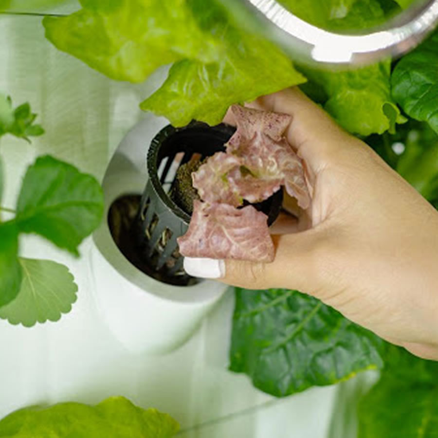 36 Cup NFT Hydroponic Kit: image 3