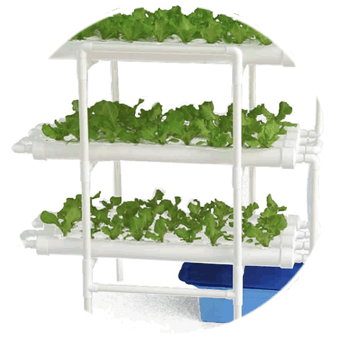 where to buy nft hydroponics kit online