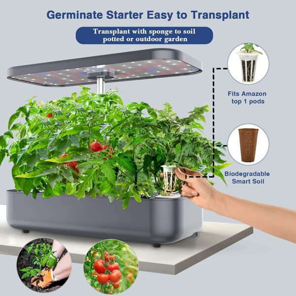 buy herb growing system